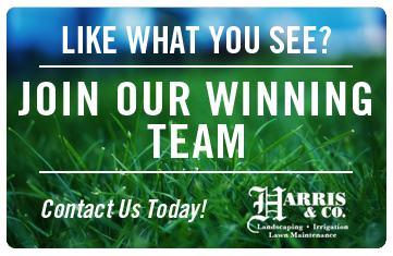 Irrigation Solutions by Harris & Co.