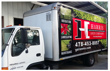 Outdoor Lighting Installation