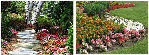 Get that Wow factor in your landscape